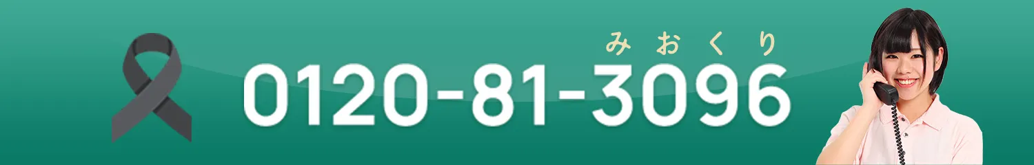 0120-81-3096