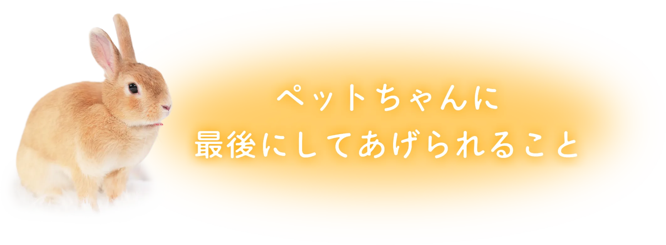 ペットちゃんに最後にしてあげられること