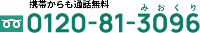 0120-81-3096