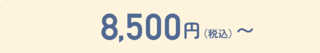 8,500円〜（税込）