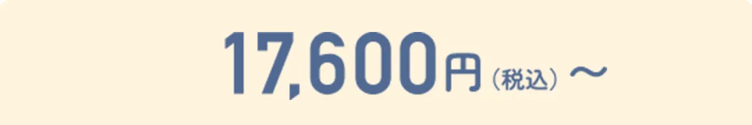 17,600円〜（税込）