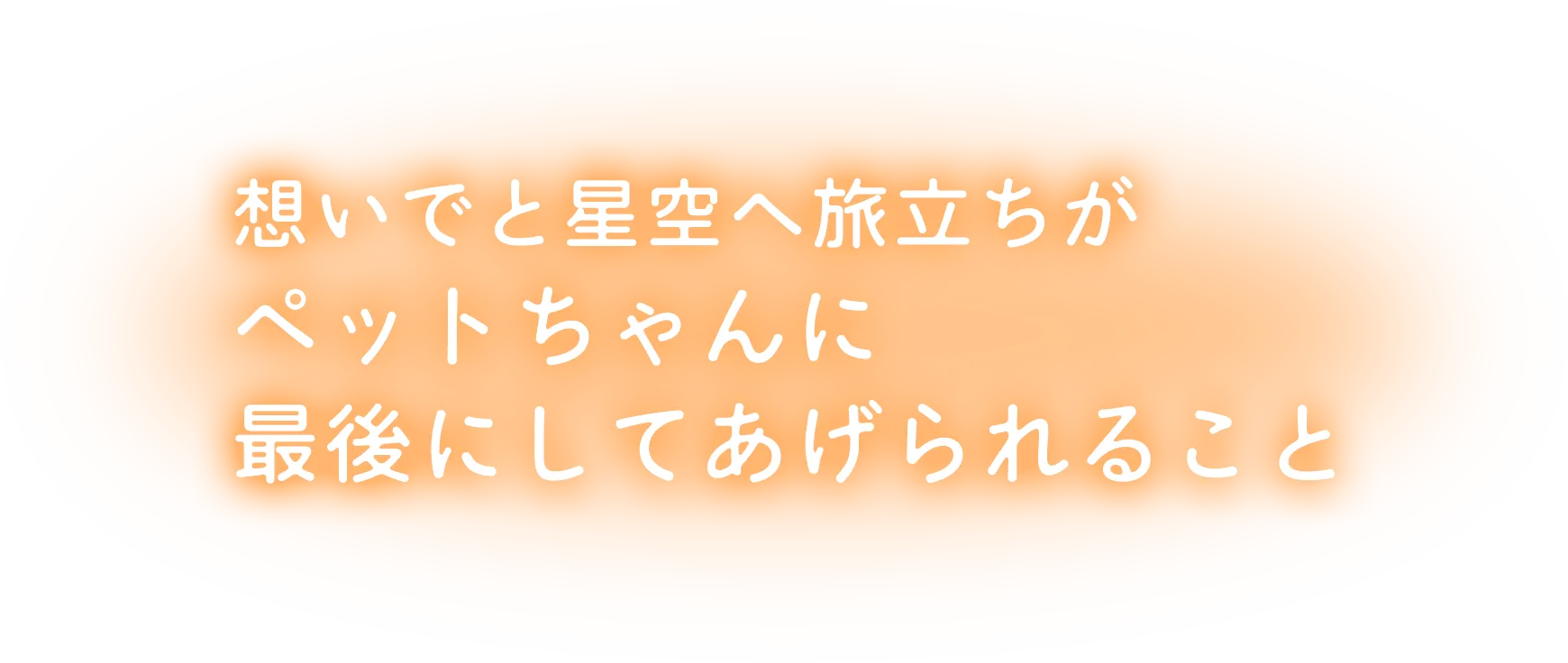 想いでと星空へ旅立ちがペットちゃんに最後にしてあげられること